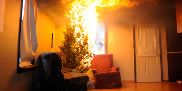 5 Smart tips to avoid Christmas tree fires this holiday